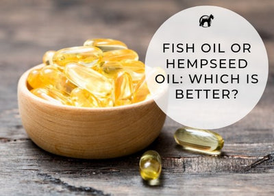 Fish Oil or Hempseed Oil: Which Is Best For Your Pet?
