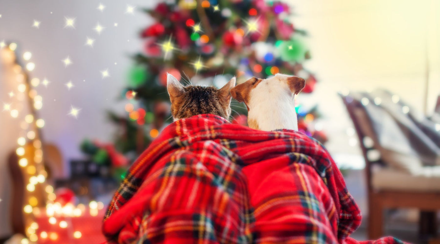 Pet Safety Tips for the Holidays - Homescape Pets
