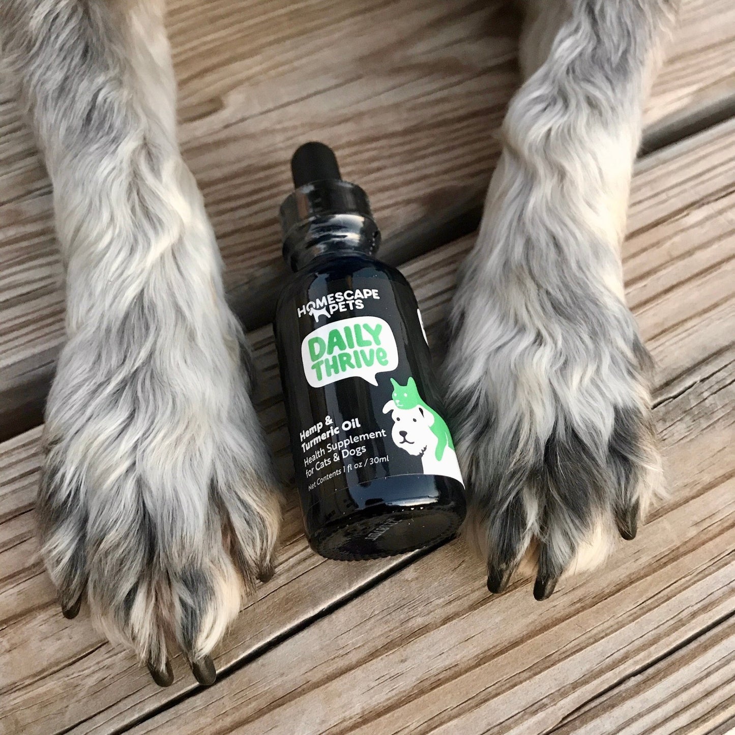 Daily Thrive - Homescape Pets