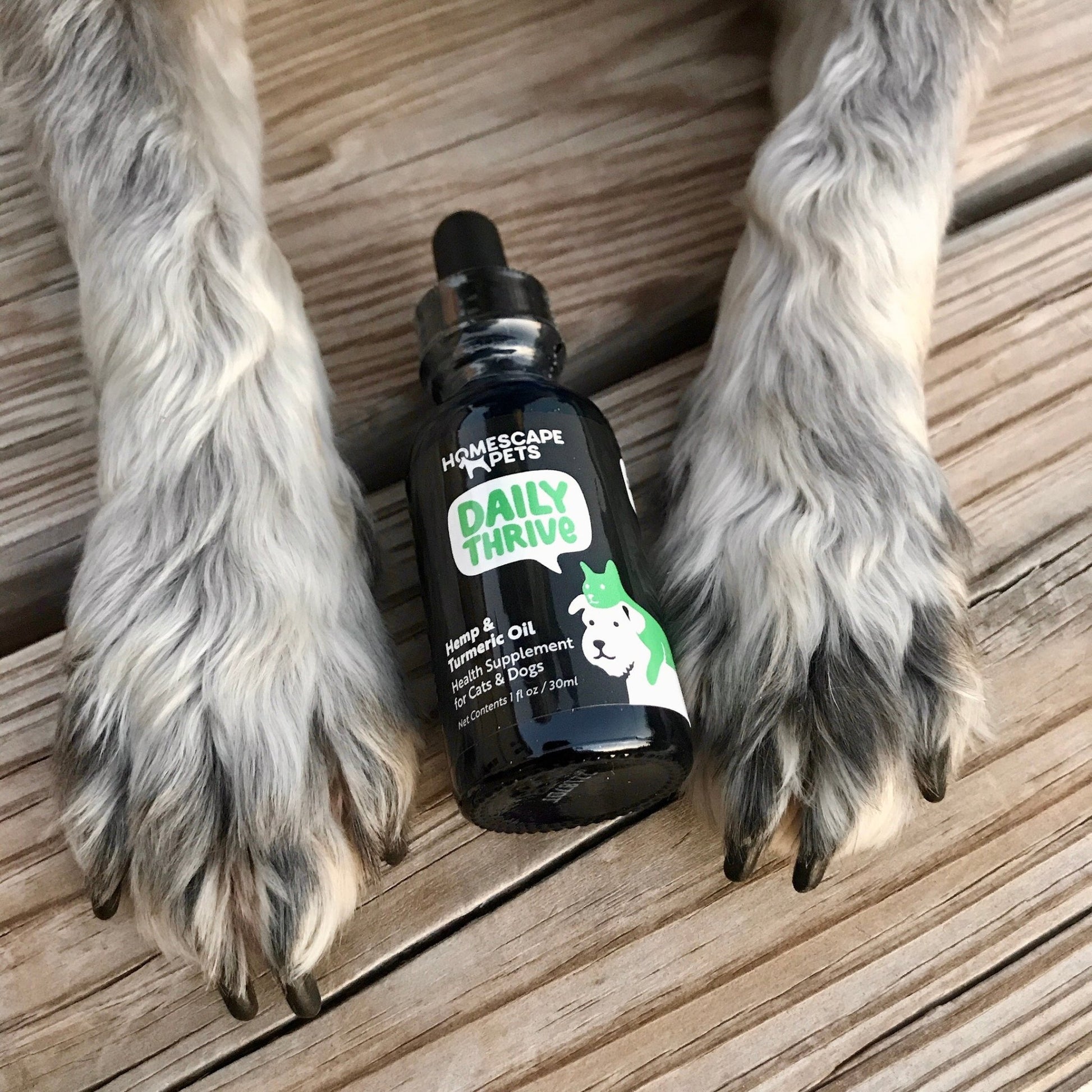 Daily Thrive - Homescape Pets
