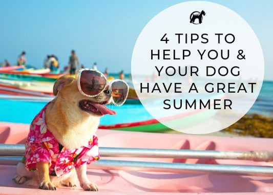 4 Tips To Help You & Your Dog Have A Great Summer - Homescape Pets