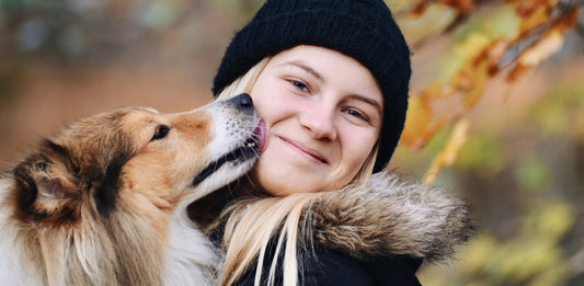 7 Natural Solutions to Help Your Dog’s Bad Breath - Homescape Pets