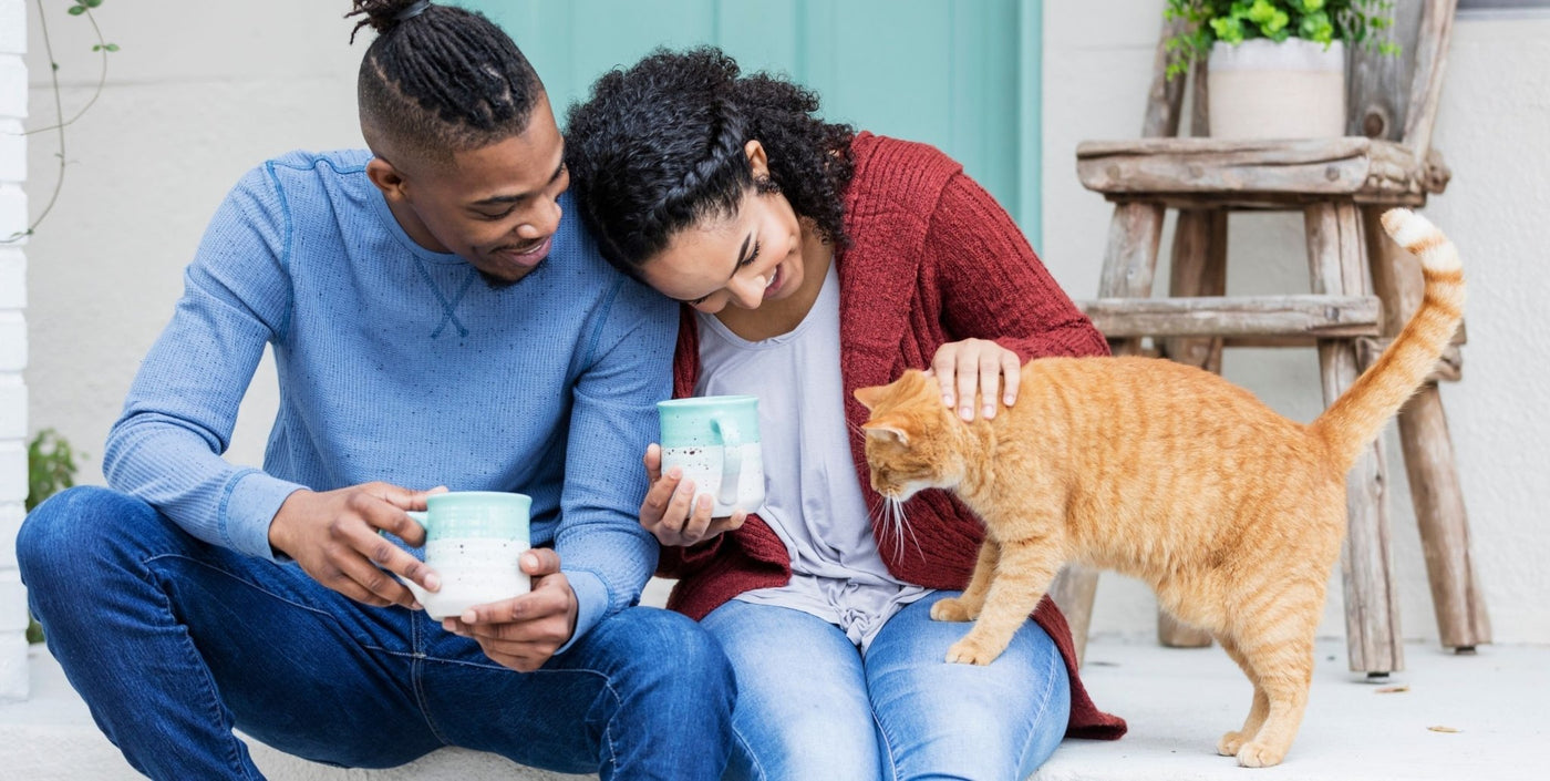 7 Tips for First-Time Cat Owners - Homescape Pets