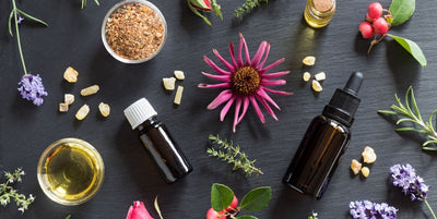 Are Essential Oils Safe for Pets? Here’s What You Need to Know