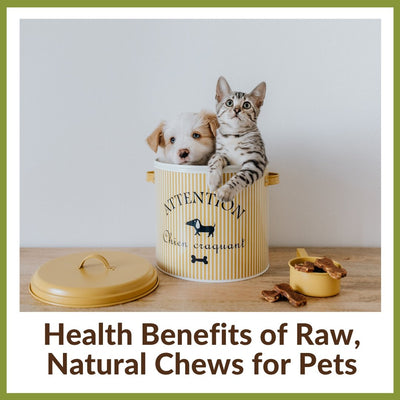 Health Benefits of Raw, Natural Chews for Cats & Dogs