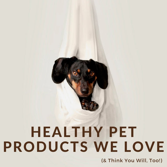 Healthy Pet Products We Love (& Think You Will, Too!) - Homescape Pets