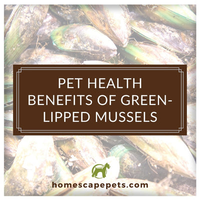 Pet Health Benefits of Green-Lipped Mussels