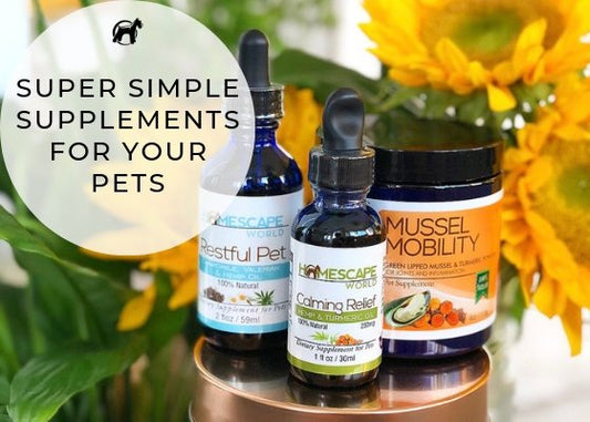 Super Simple Supplements For Your Pet! - Homescape Pets