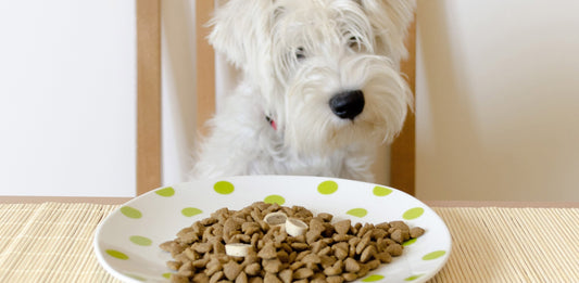 The 3 Amazing Benefits of Rotational Feeding - Homescape Pets