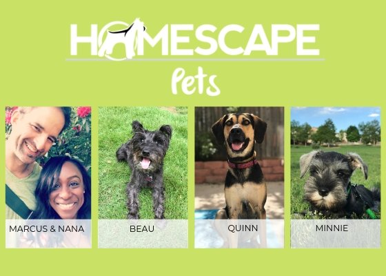 🐾 The People (and Paws) Behind Homescape Pets 🐾 - Homescape Pets