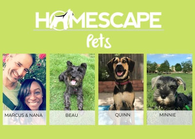 🐾 The People (and Paws) Behind Homescape Pets 🐾