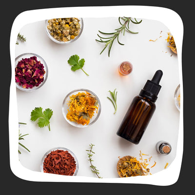 Fresh colorful herbs in small bowls next to loose herbs on a table with a brown oil dropper bottle