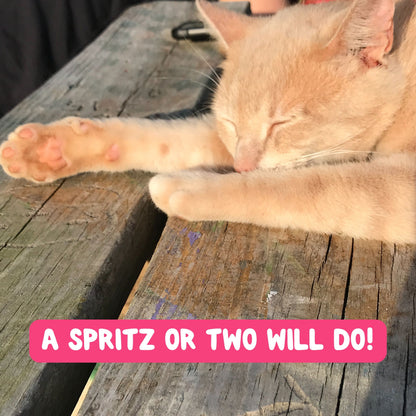 Catnip Spritz