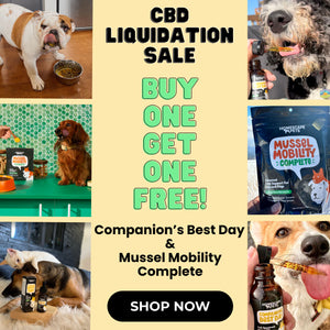 Buy one get top one free dog food