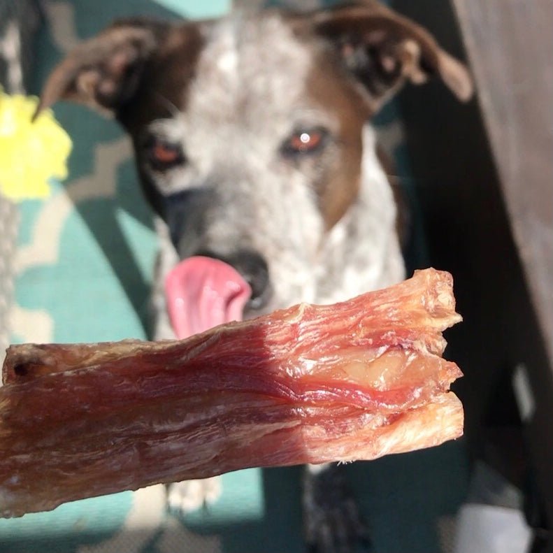 Beef Tendon Chews - Homescape Pets