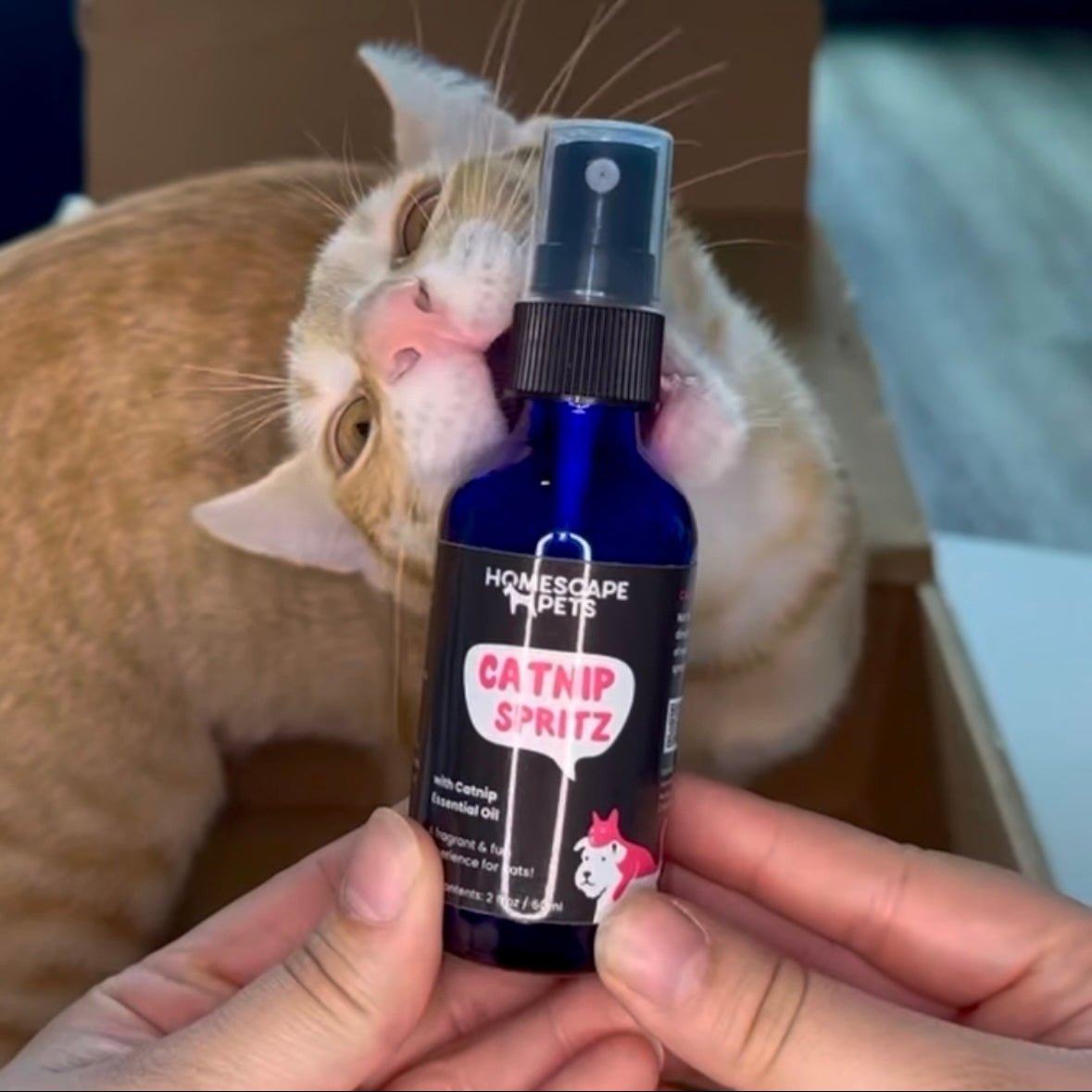 Catnip Spritz - Homescape Pets